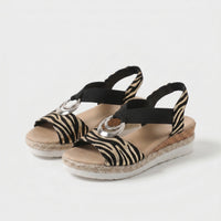 Zebra Clássico